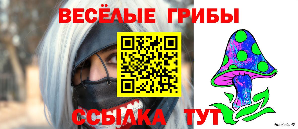 Галлюциногенные грибы мицелий Чусовой