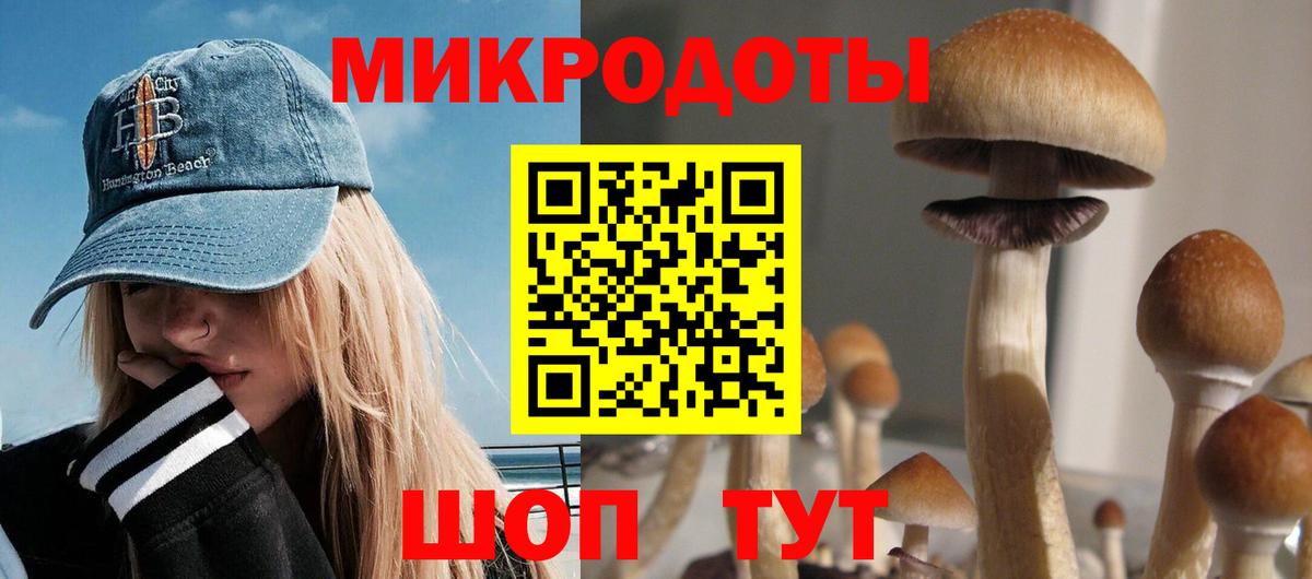 Псилоцибиновые грибы прущие грибы  купить   Псилоцибиновые грибы MAGIC MUSHROOMS  Чусовой  Вход с VPN 